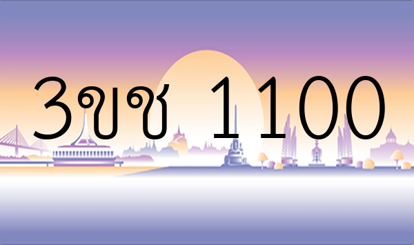 3ขช 1100